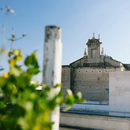 Eva Recommends Alberto Lista Atico Seville